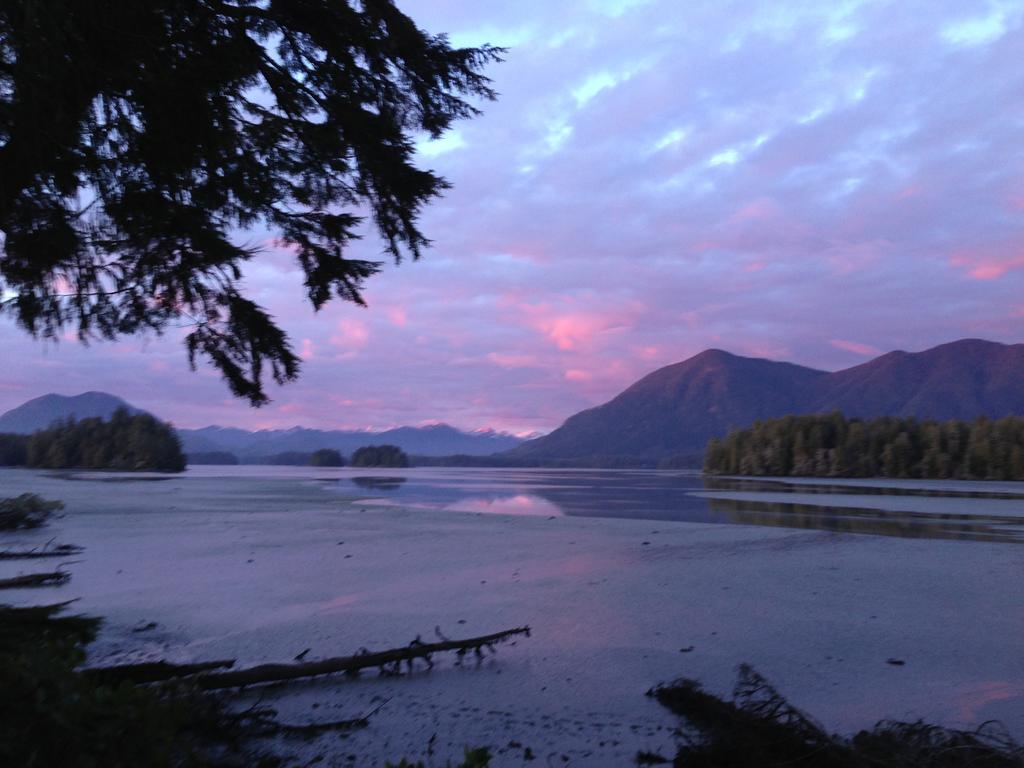 Black Bear Guesthouse Tofino Dış mekan fotoğraf